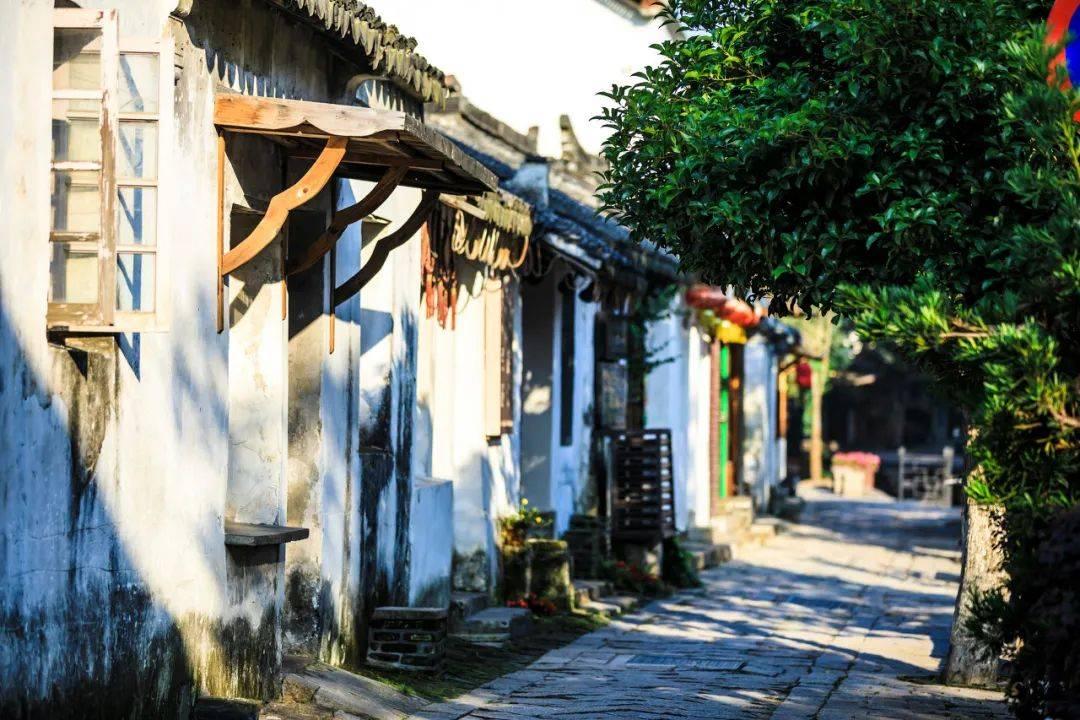 坦克出行